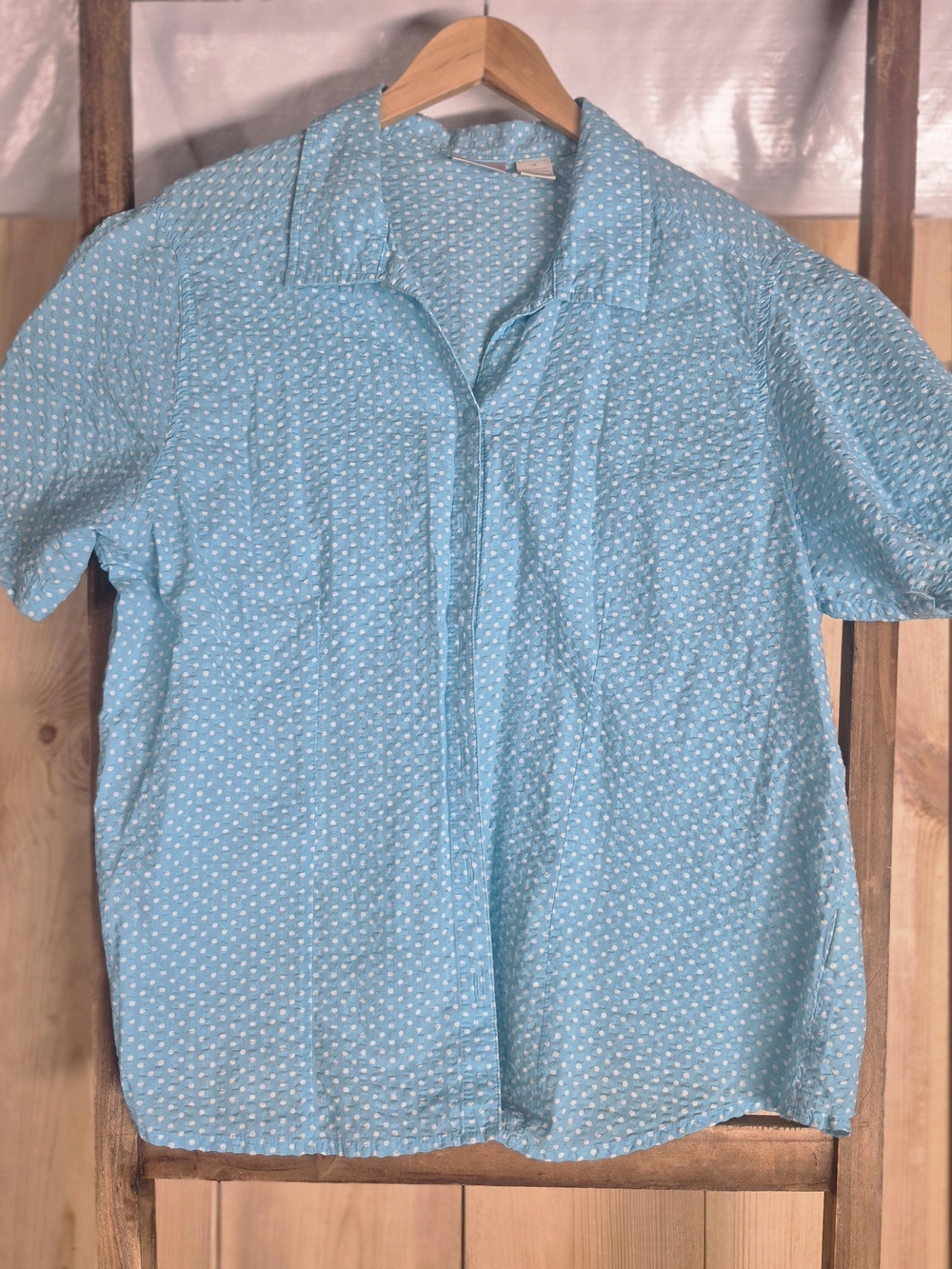Erika Light Blue Button-Down Short Sleeve Shirt